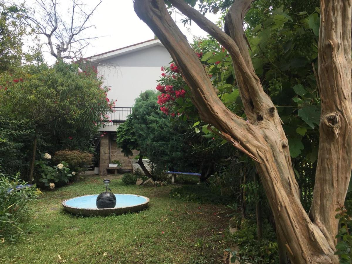 Bed & Breakfast Rotonda Dai Santi Rovigo